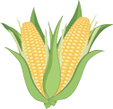 ears of corn by Ellie DeSilva